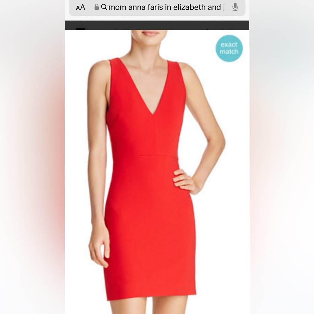 Elizabeth and James mini dress